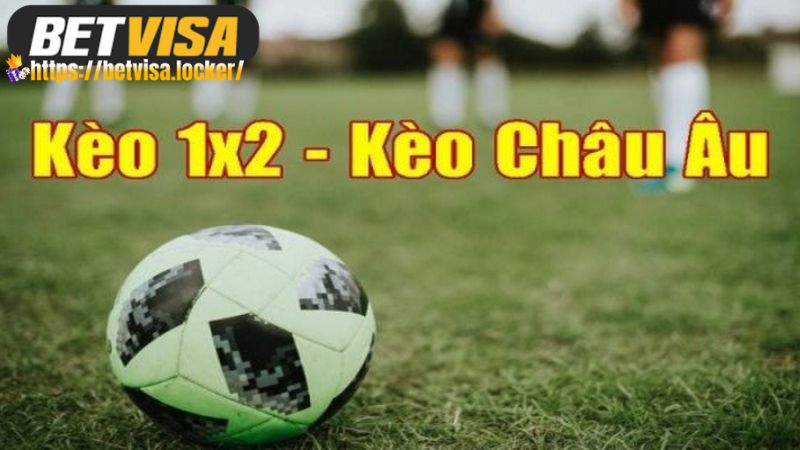 Kèo Châu Âu | Chiến Lược Cá Cược Thắng Đậm Tại BETVISA