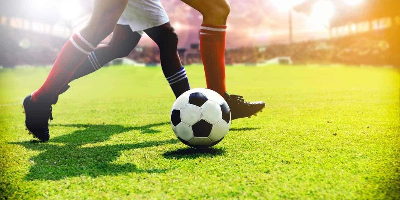 Một số bí quyết cá cược ICF Sports M88 chuyên gia